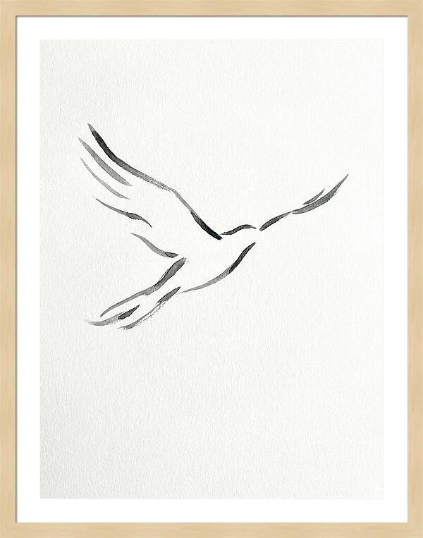 Flying Bird Silhouette
