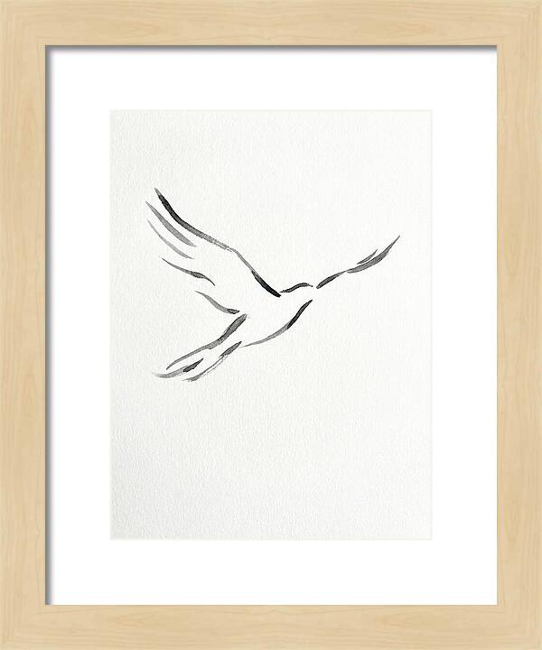 Flying Bird Silhouette