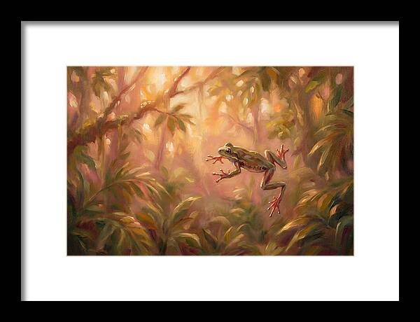Flying Frog In Jungle