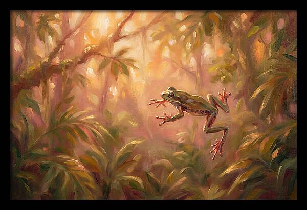 Flying Frog In Jungle
