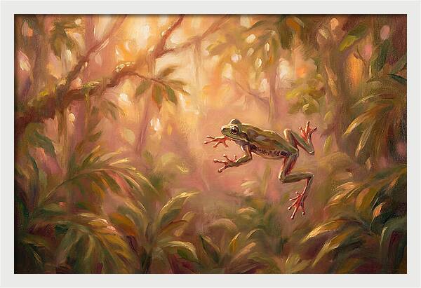 Flying Frog In Jungle