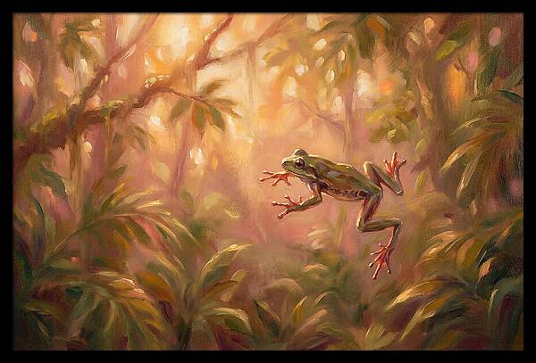 Flying Frog In Jungle