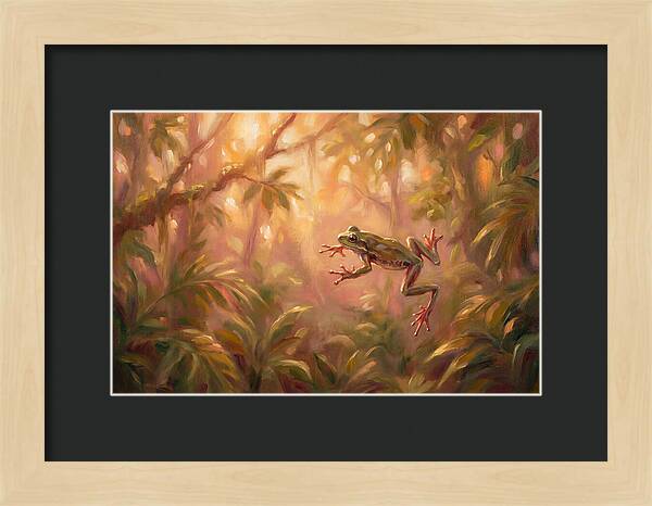 Flying Frog In Jungle