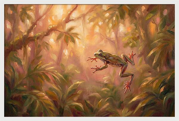Flying Frog In Jungle