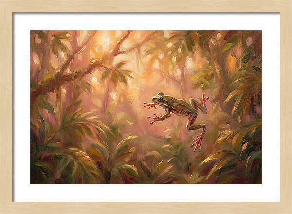 Flying Frog In Jungle