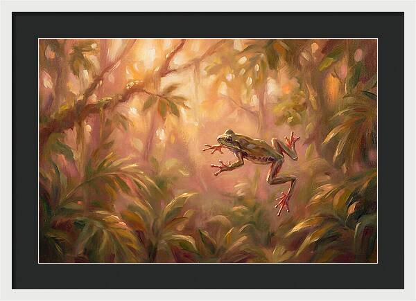 Flying Frog In Jungle