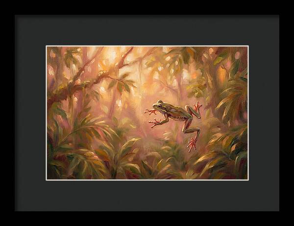 Flying Frog In Jungle
