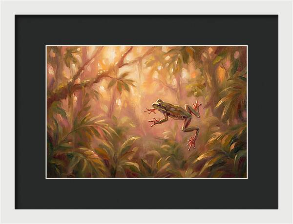 Flying Frog In Jungle