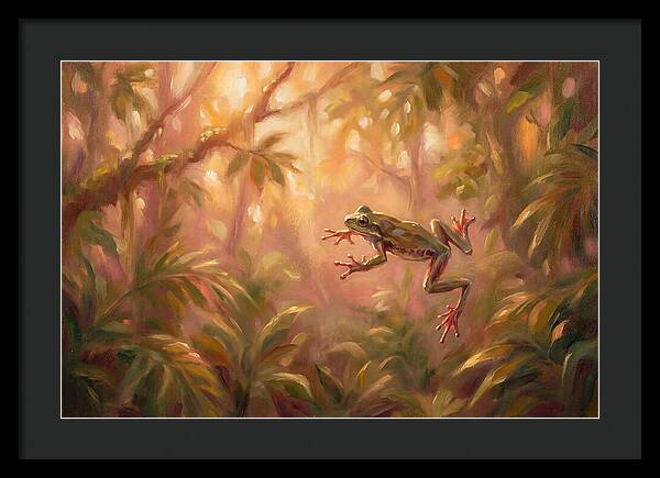 Flying Frog In Jungle
