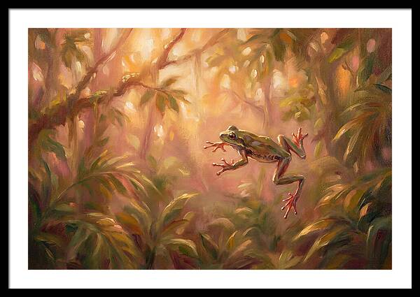 Flying Frog In Jungle