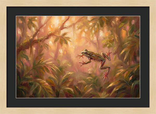 Flying Frog In Jungle