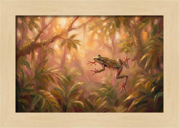 Flying Frog In Jungle