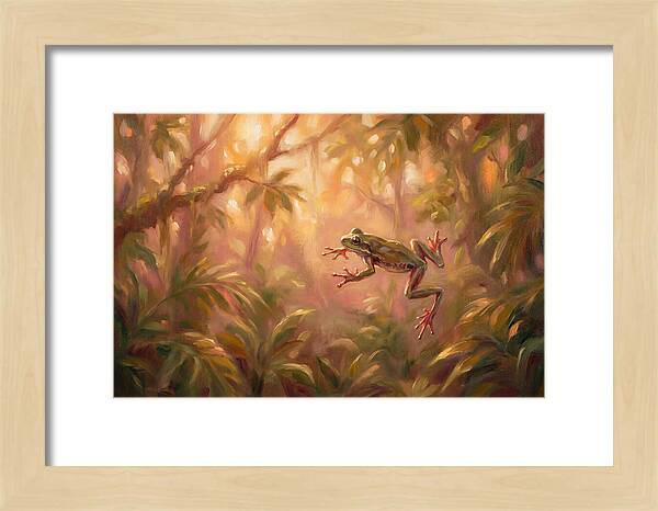 Flying Frog In Jungle