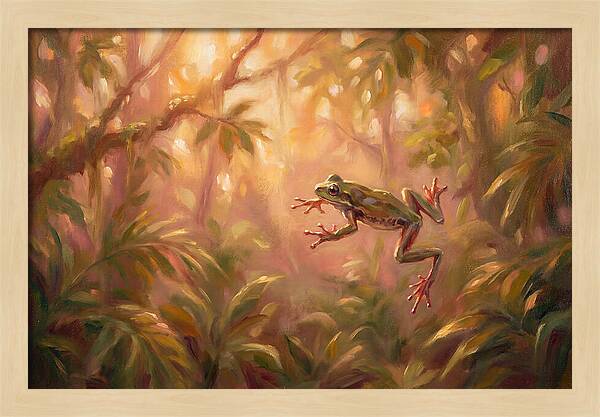 Flying Frog In Jungle
