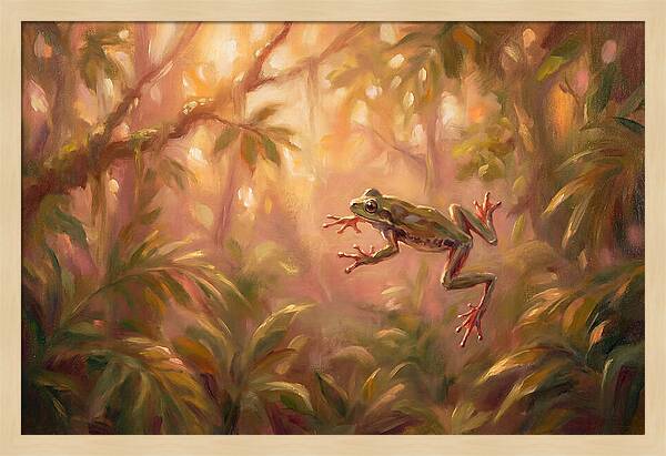 Flying Frog In Jungle