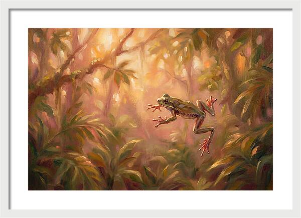 Flying Frog In Jungle