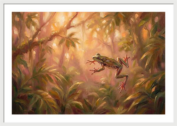 Flying Frog In Jungle