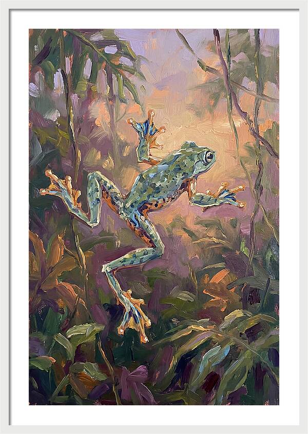 Flying Frog In The Jungle