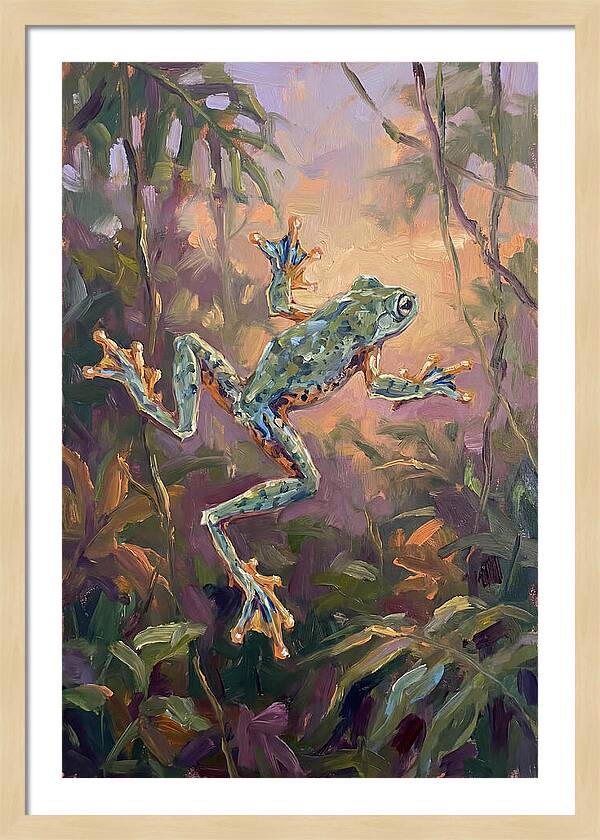 Flying Frog In The Jungle