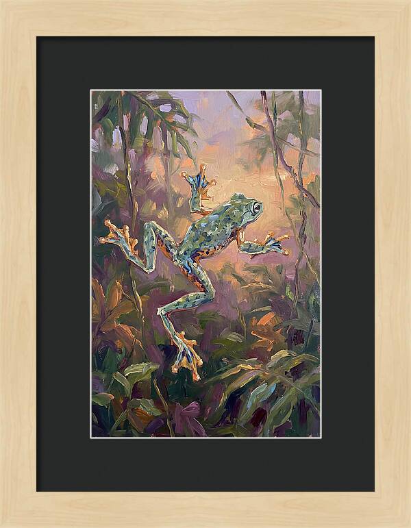 Flying Frog In The Jungle