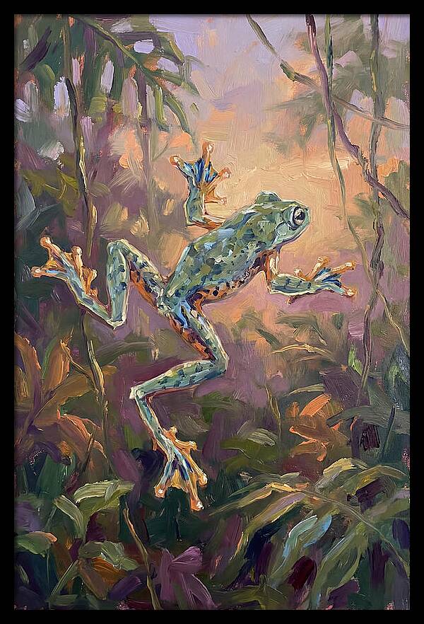 Flying Frog In The Jungle