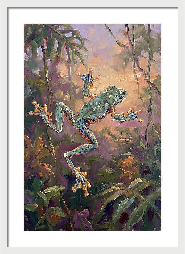 Flying Frog In The Jungle