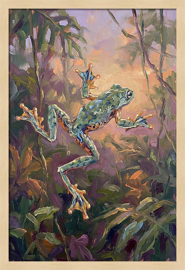 Flying Frog In The Jungle