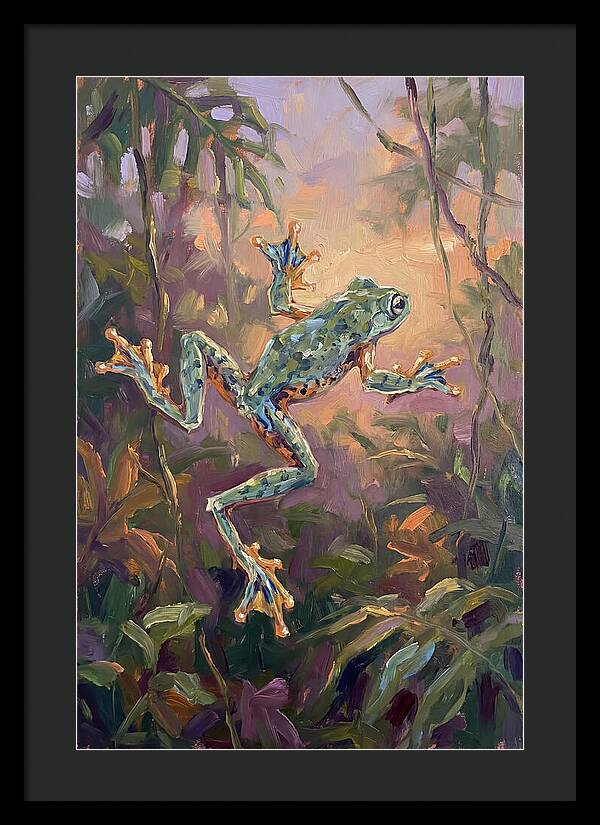 Flying Frog In The Jungle