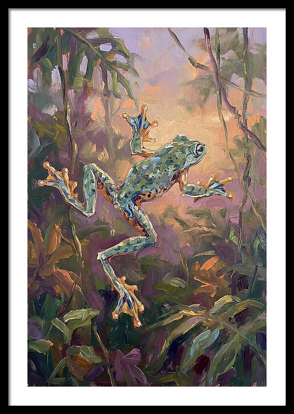Flying Frog In The Jungle