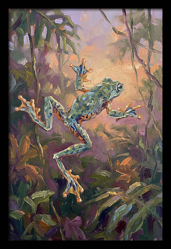 Flying Frog In The Jungle