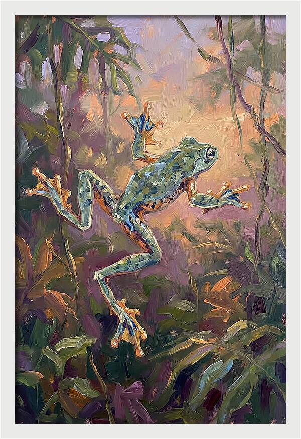 Flying Frog In The Jungle