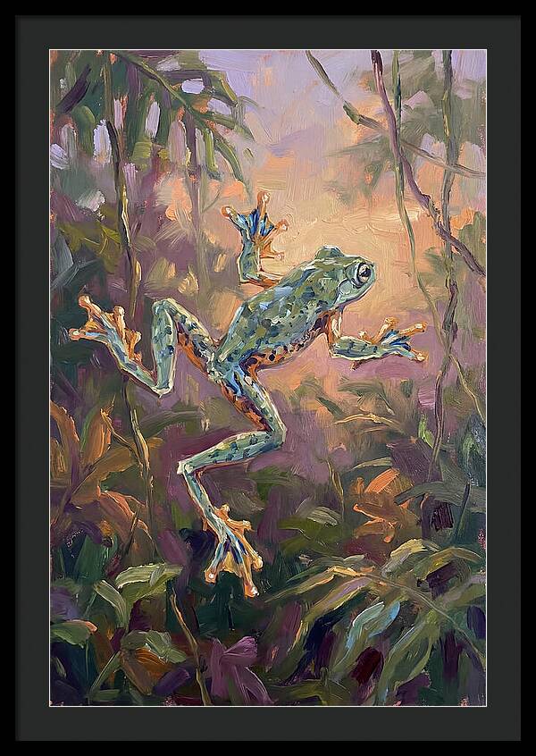 Flying Frog In The Jungle
