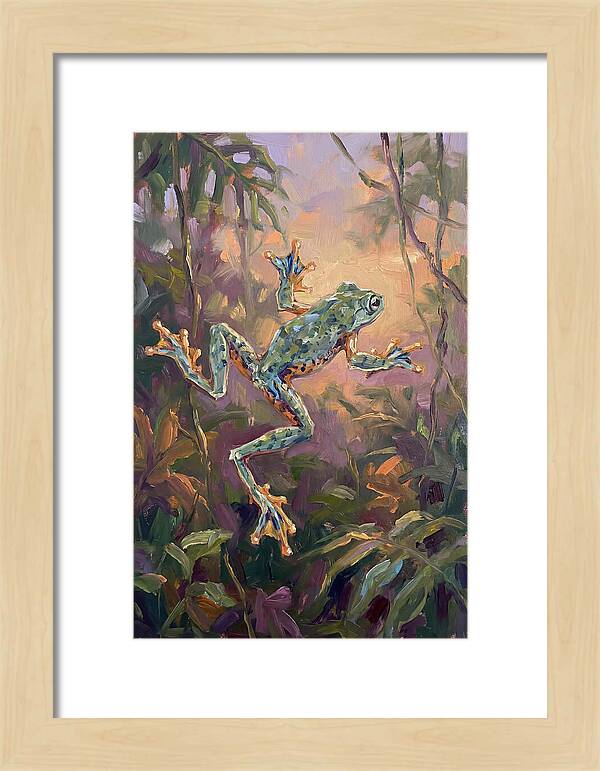 Flying Frog In The Jungle