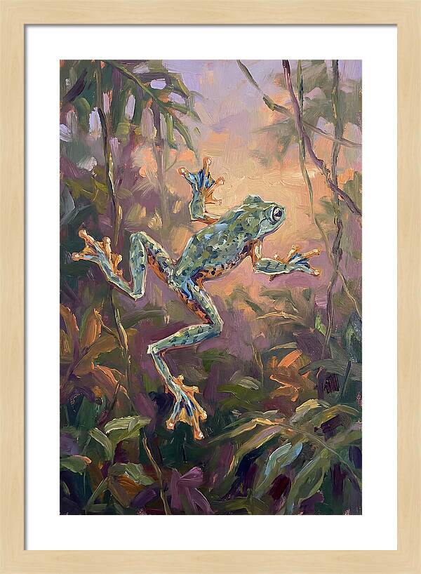 Flying Frog In The Jungle