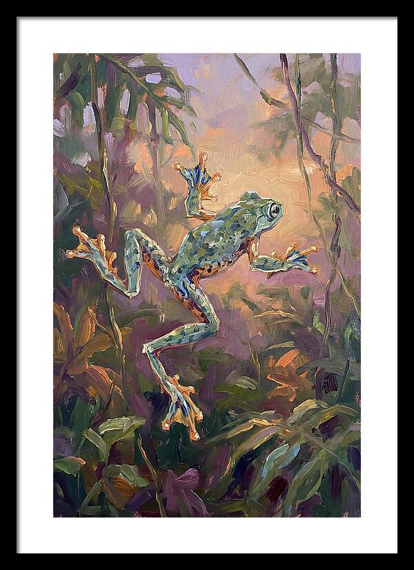 Flying Frog In The Jungle
