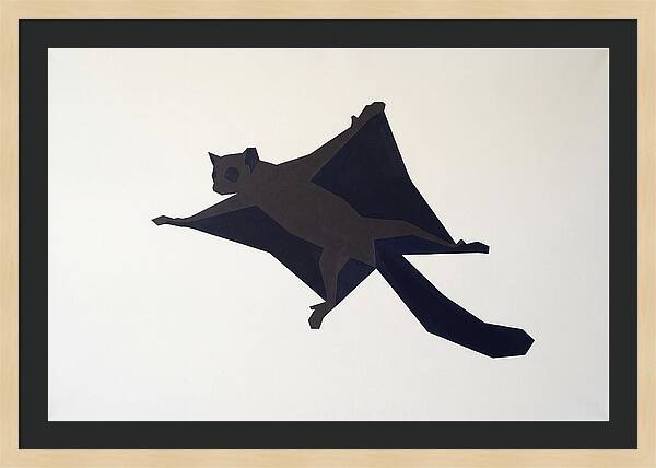 Flying Lemur In Motion