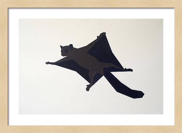 Flying Lemur In Motion