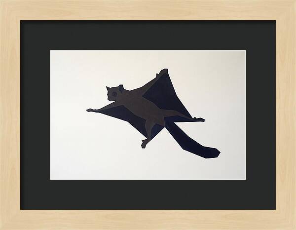Flying Lemur In Motion