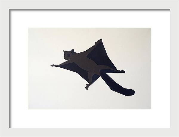 Flying Lemur In Motion