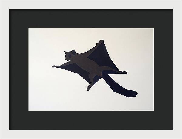 Flying Lemur In Motion