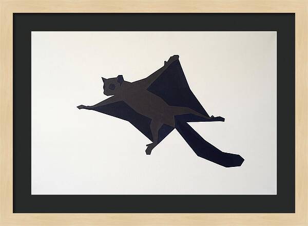 Flying Lemur In Motion