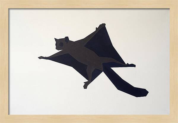Flying Lemur In Motion