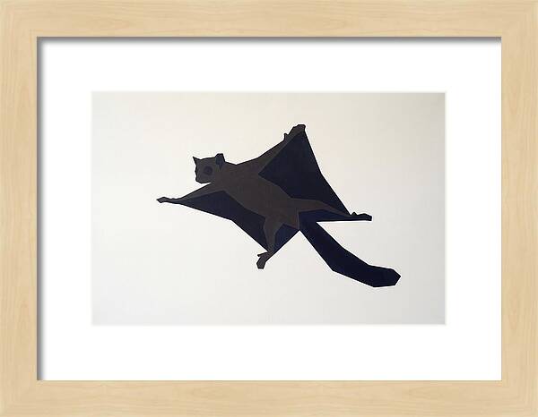 Flying Lemur In Motion