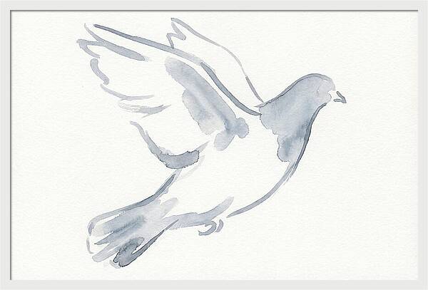 Flying Pigeon In Watercolor