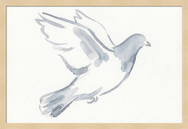 Flying Pigeon In Watercolor