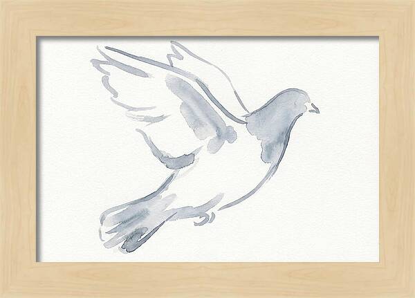 Flying Pigeon In Watercolor