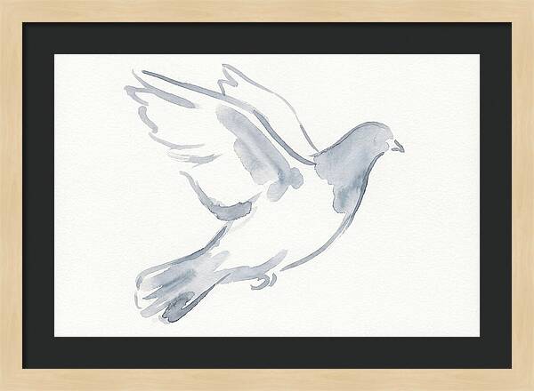 Flying Pigeon In Watercolor