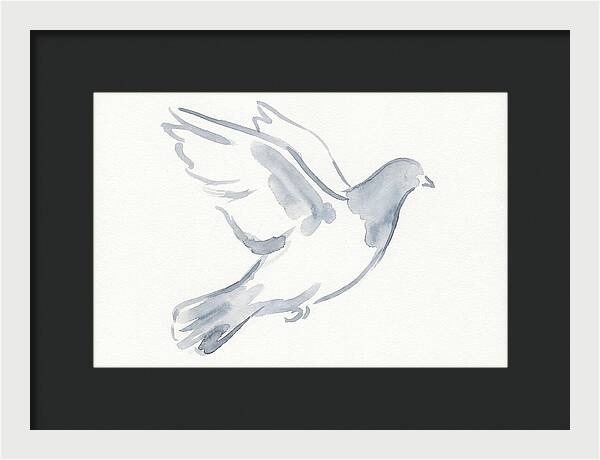 Flying Pigeon In Watercolor
