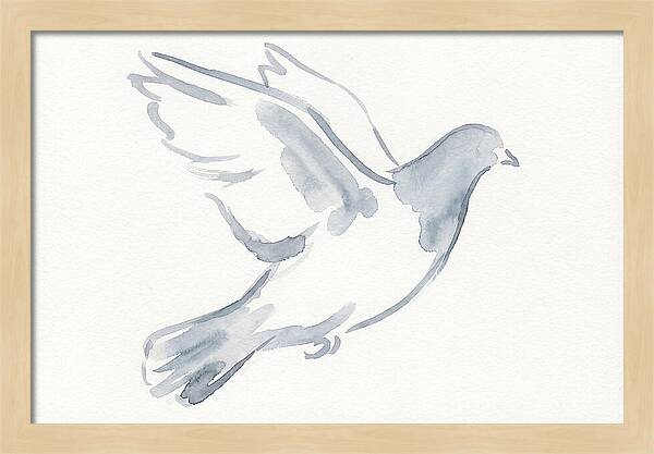 Flying Pigeon In Watercolor