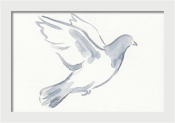 Flying Pigeon In Watercolor